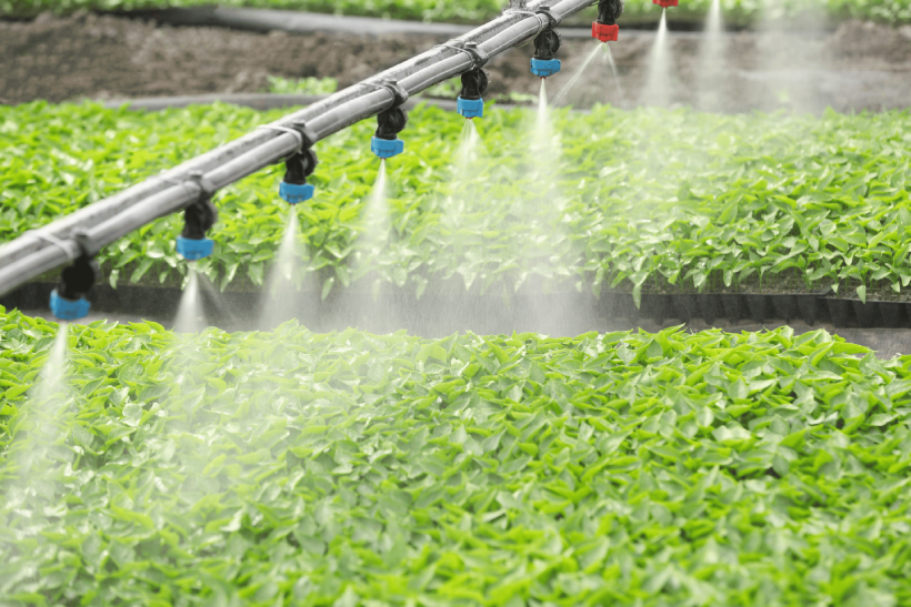 irrigation